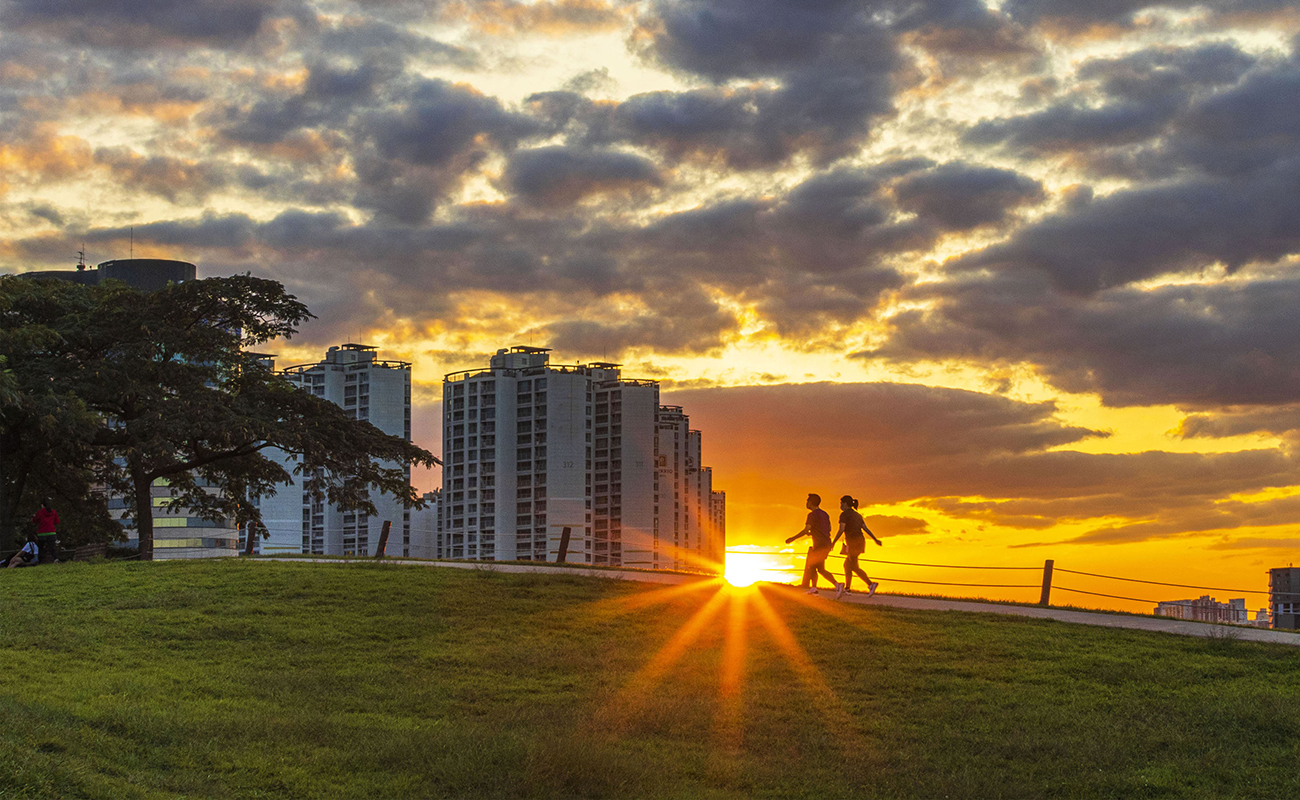 공원의 쾌적함을 누리는 힐링 특권